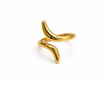 Anillos
