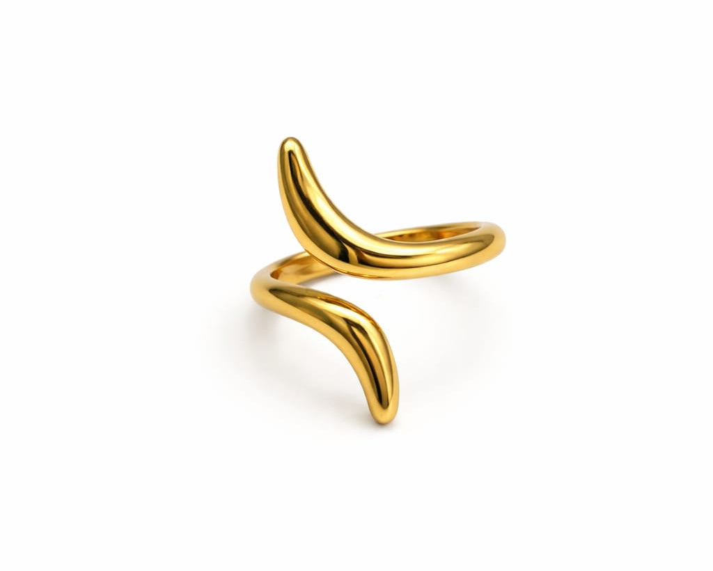 Anillos